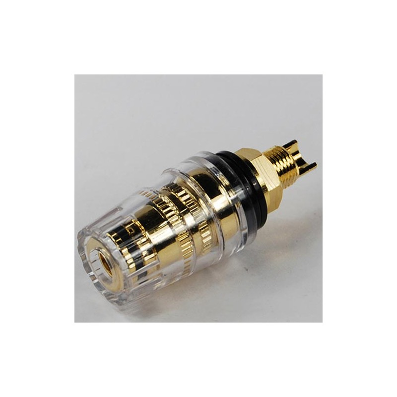 Presa altoparlanti gold con copertura nera