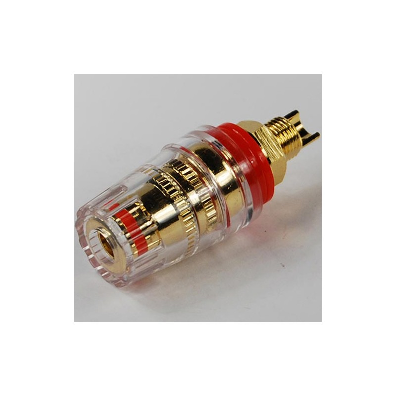 Presa altoparlanti gold con copertura rossa
