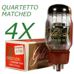 Quartetto di KT66 Genalex Gold Lion