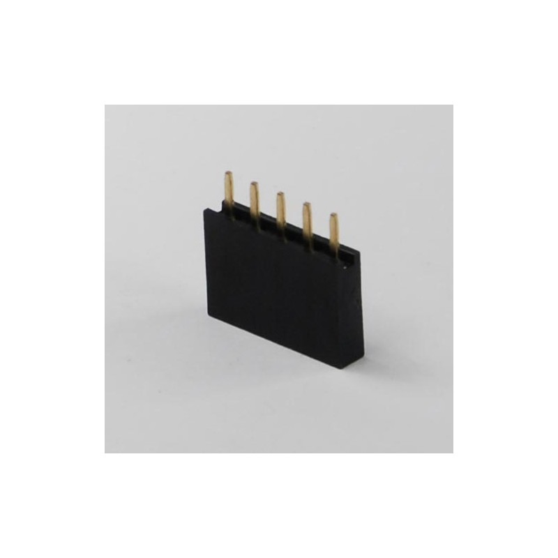 Strip femmina a 5 pin