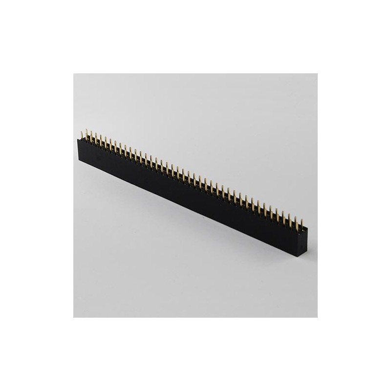 Strip femmina da 2x40 pin