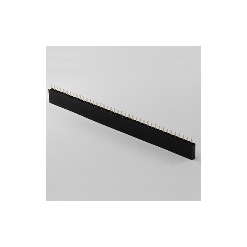 Strip femmina da 40 pin
