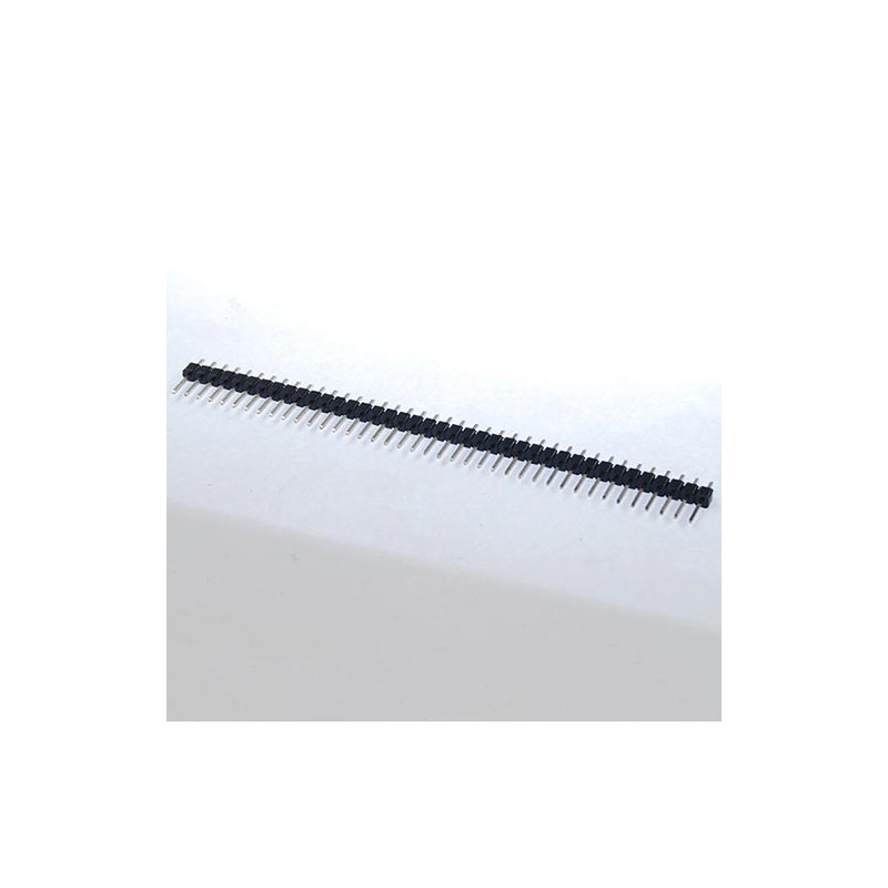 Strip maschio 40 pin